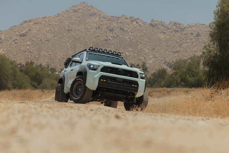 Toyota 4Runner Exterior Window Molle Panels - Passenger - DV8 Offroad - DV8 5th Gen 4Runner Roof Rack (RRTF3-02) - Black - `25-`26
